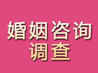 孙吴婚姻咨询调查